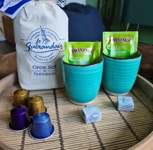 公寓 Hyper Centre - Balcon Vue Degagee La Baule